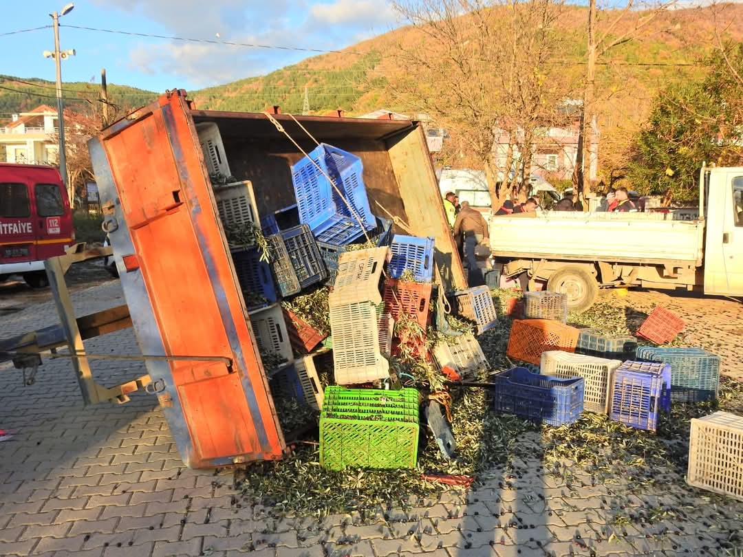 ZEYTİN İŞÇİLERİNİ TAŞIYAN TRAKTÖR RÖMORKU DEVRİLDİ: 5 YARALI