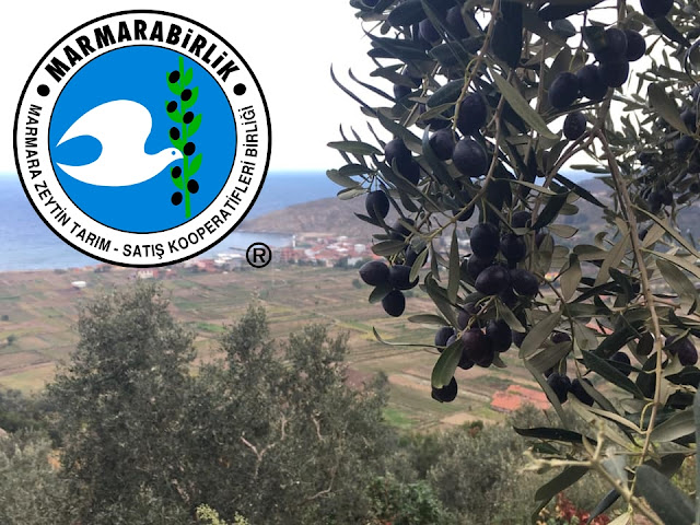 MARMARABİRLİK 4.DİLİM ÖDEMELERİNİ YAPACAK