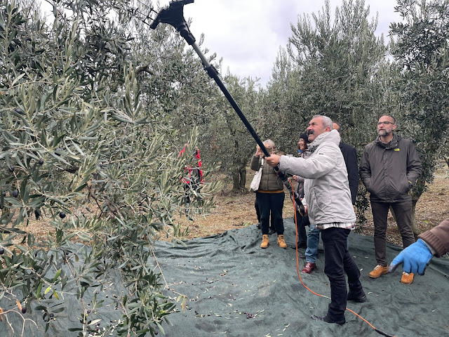 MAÇOĞLU, BANDIRMA VE ERDEK'İ ZİYARET ETTİ