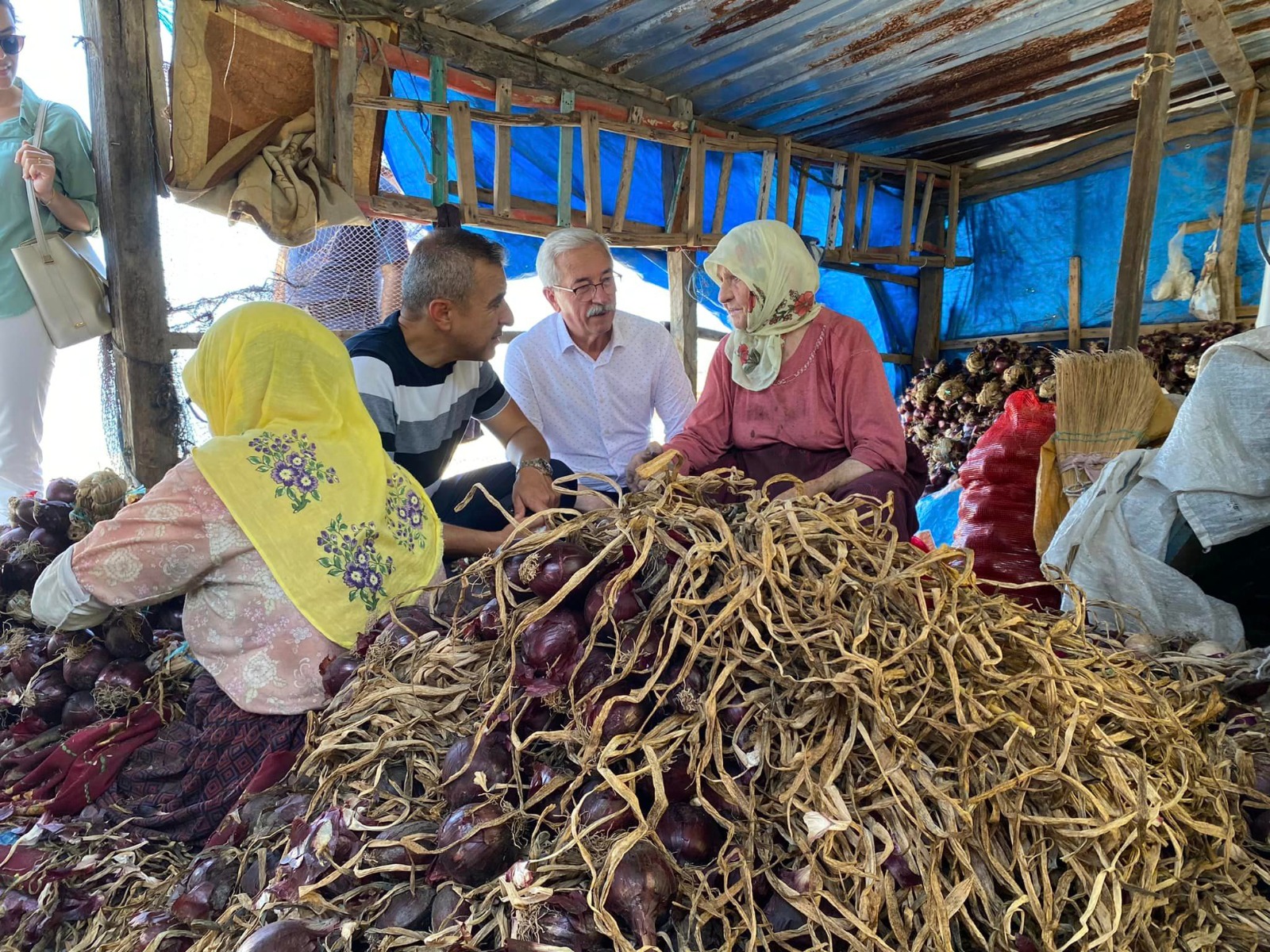 KAPIDAĞ MOR SOĞANI'NDA HASAT ZAMANI