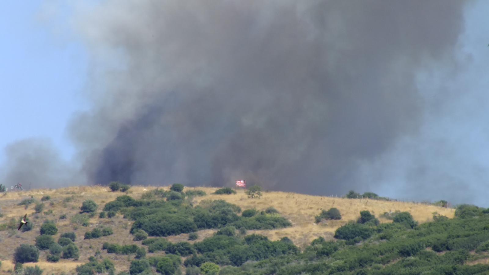 ERDEK'TE KORKUTAN YANGIN