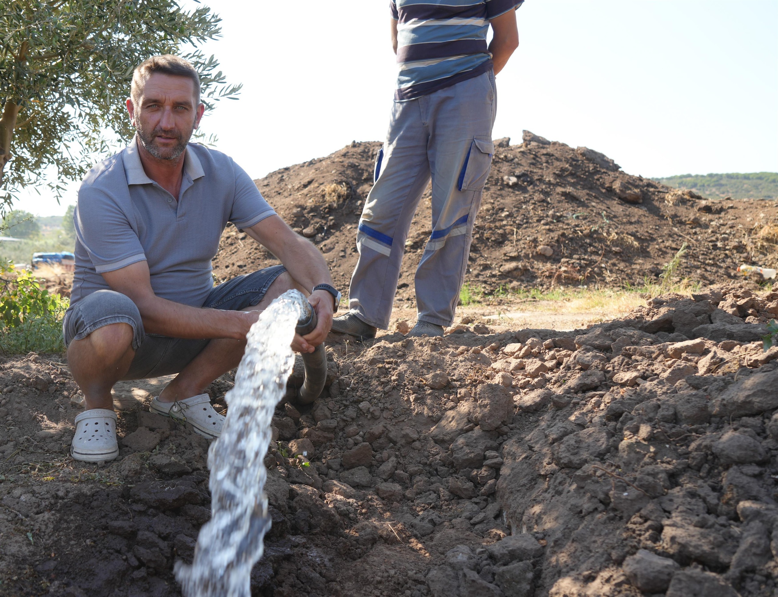 ERDEK'TE 80 BİN ZEYTİN AĞACI SUYLA BULUŞTU 