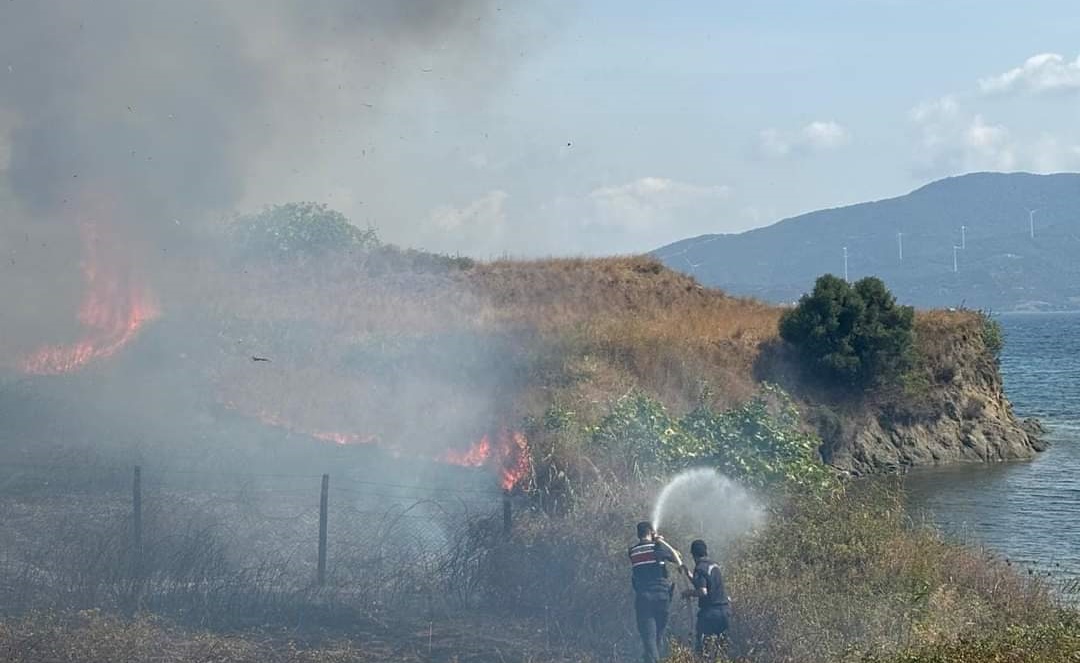 PAŞALİMANI ADASI'NDA YANGIN 