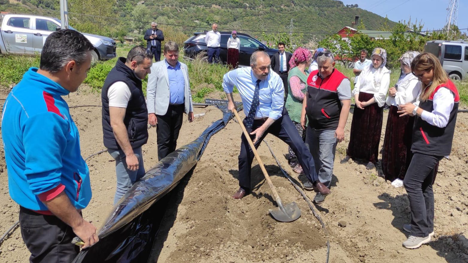 BALLIPINAR'DA ÇİLEK YETİŞTİRİCİLİĞİNE BAŞLANIYOR