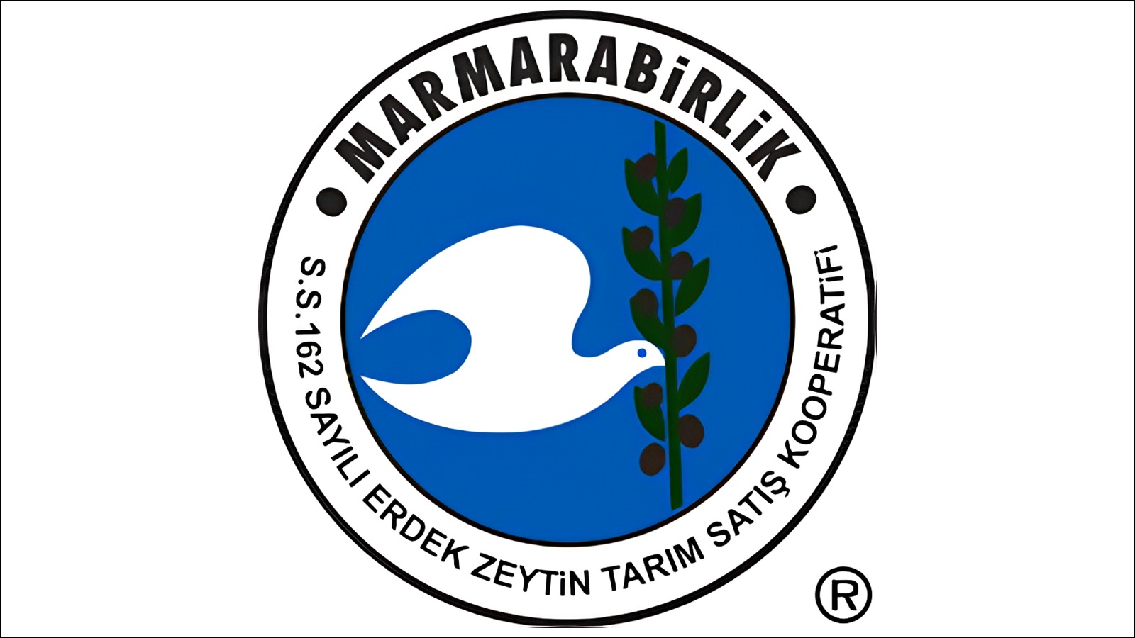 ERDEK ZEYTİN KOOPERATİFİ'NDE REKOLTE BEYANNAME ALIMLARI BAŞLIYOR
