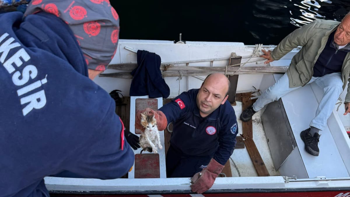 DENİZE DÜŞEN YAVRU KEDİ İTFAİYE TARAFINDAN KURTARILDI