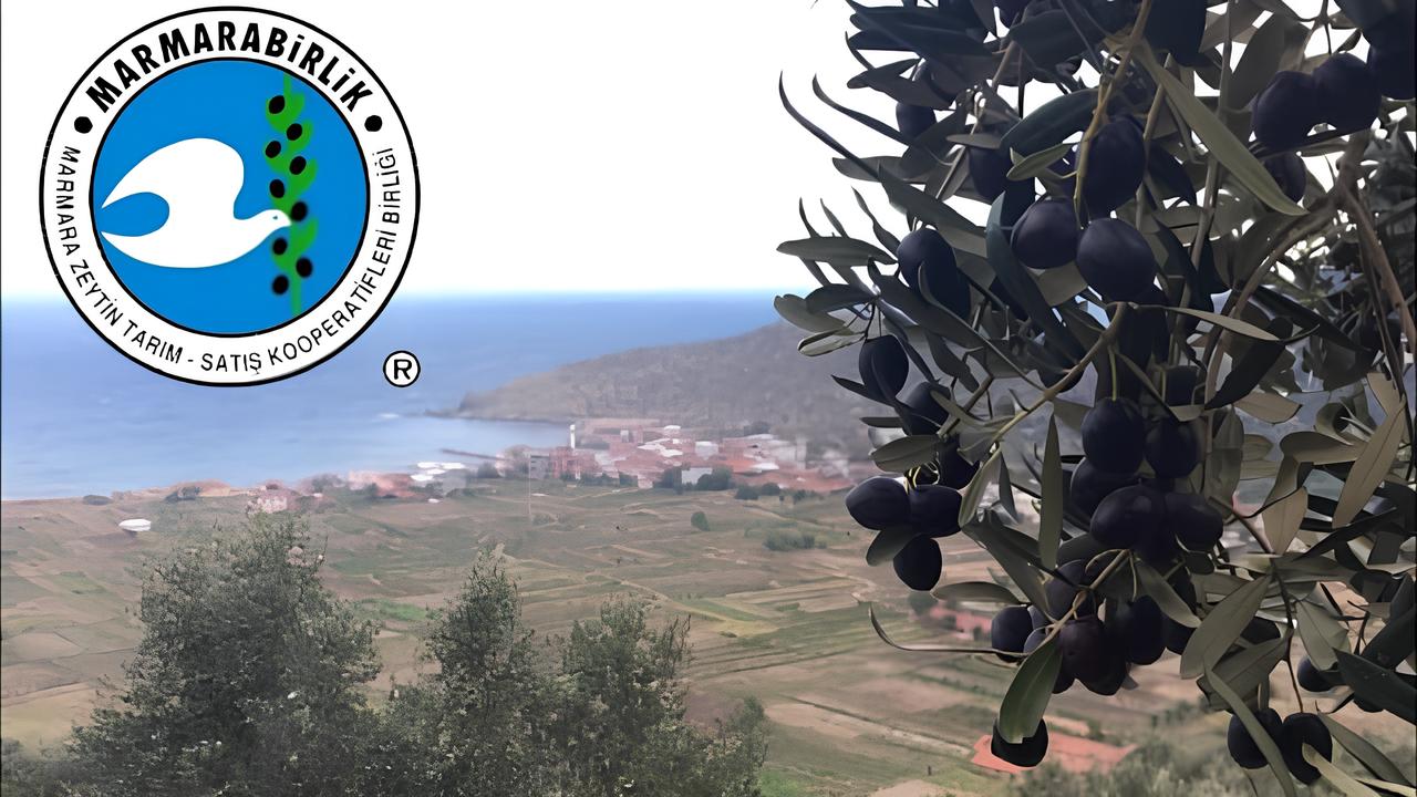 MARMARABİRLİK 2025-2026 ÜRÜN ALIM FİYATLARINI AÇIKLADI