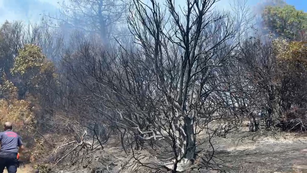 MARMARA ADASI TOPAĞAÇ MEVKİ'NDE KORKUTAN YANGIN