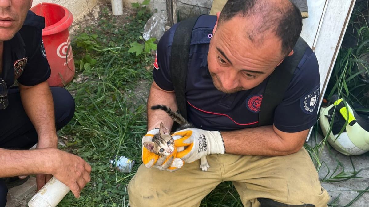 ERDEK'TE İKİ DUVAR ARASINA SIKIŞAN KEDİYİ İTFAİYE KURTARDI