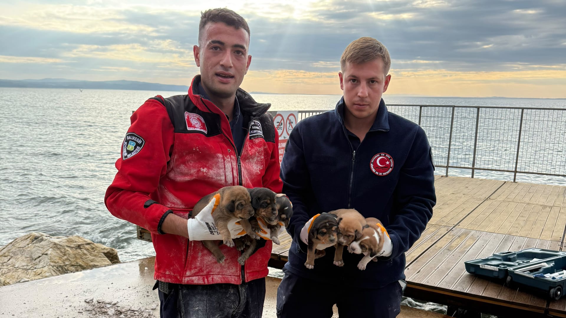 ERDEK'TE MAHSUR KALAN KÖPEK YAVRULARINI İTFAİYE KURTARDI
