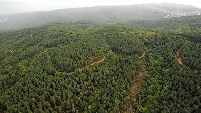 BALIKESİR GENELİNDE ORMANLARA GİRİŞ YASAKLANDI