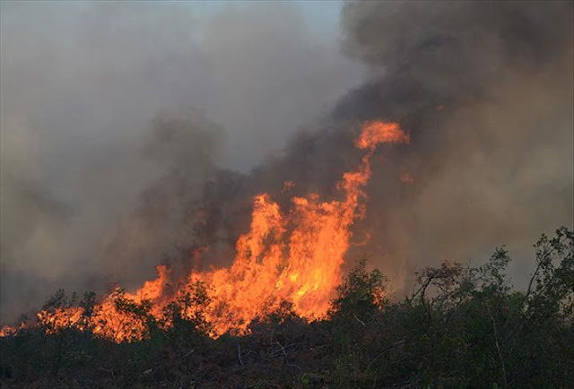 METEOROLOJİ'DEN KUVVETLİ RÜZGAR VE ORMAN YANGINI UYARISI